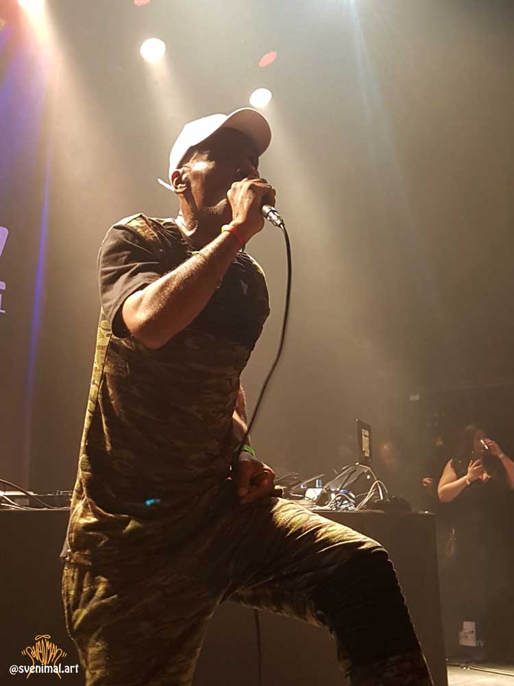 Fast Freddy @ Urban Matterz, Cacaofabriek, Helmond, (2019) (svenimal.art)